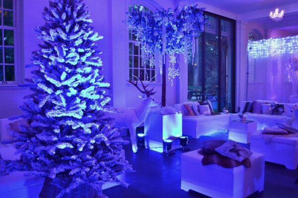 Kerstfeest in Winter Wonderland stijl